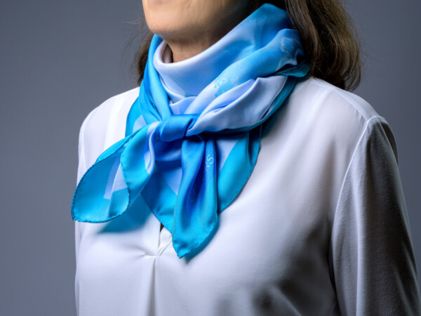 Silk Scarf Motif Enthusiasm